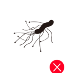 Escherichia Coli