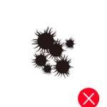 Staphylococcus Aureus