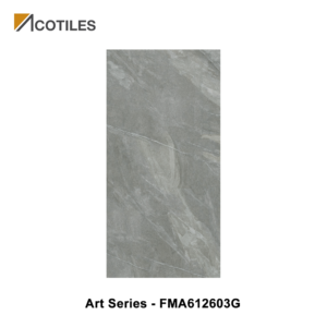Art Series Designer Tile FMA612603G