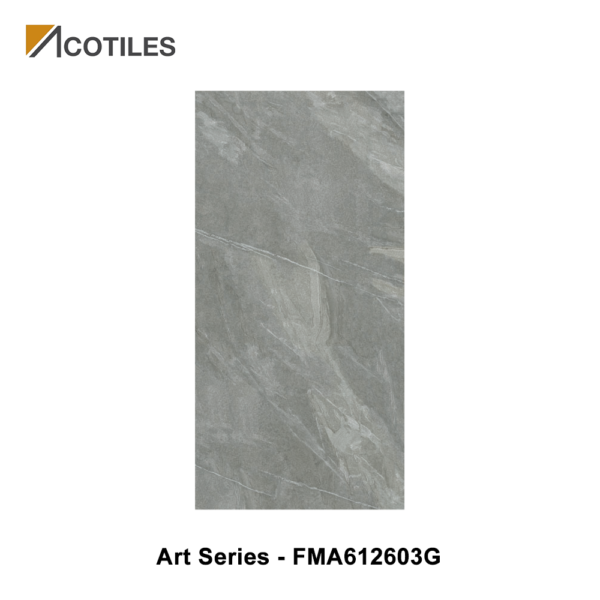 Art Series Designer Tile FMA612603G
