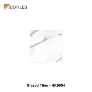 Glazed Tiles HK6954