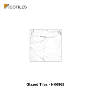 Glazed Tiles HK6965