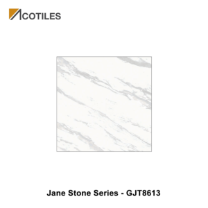 Jane Stone Series Designer Tile GJT8613