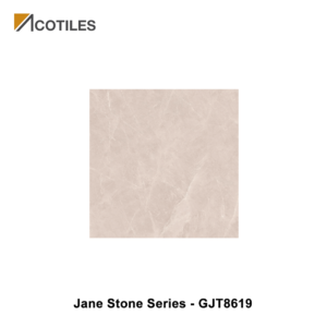 Jane Stone Series Designer Tile GJT8619