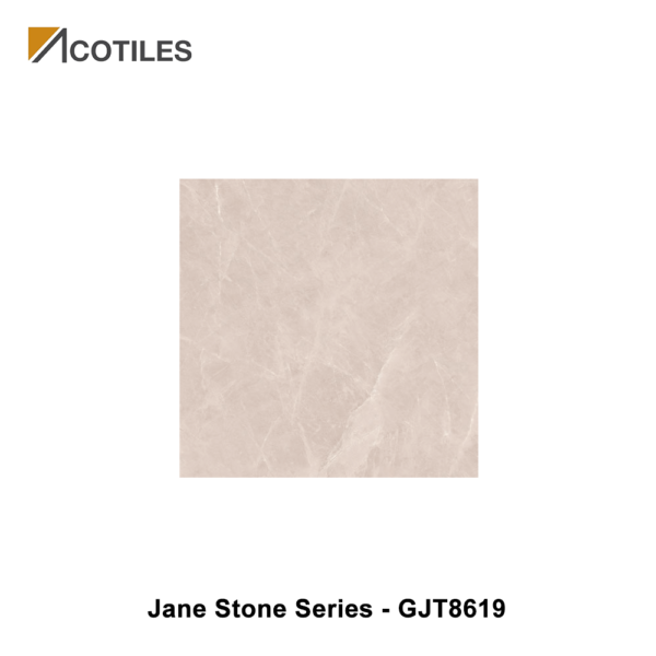 Jane Stone Series Designer Tile GJT8619
