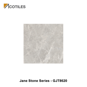 Jane Stone Series Designer Tile GJT8620