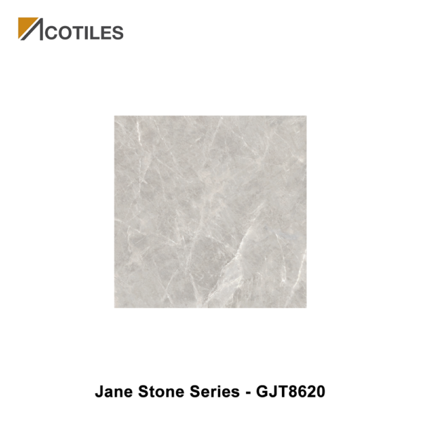 Jane Stone Series Designer Tile GJT8620