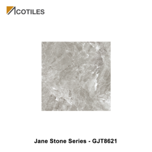 Jane Stone Series Designer Tile GJT8621