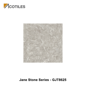 Jane Stone Series Designer Tile GJT8625