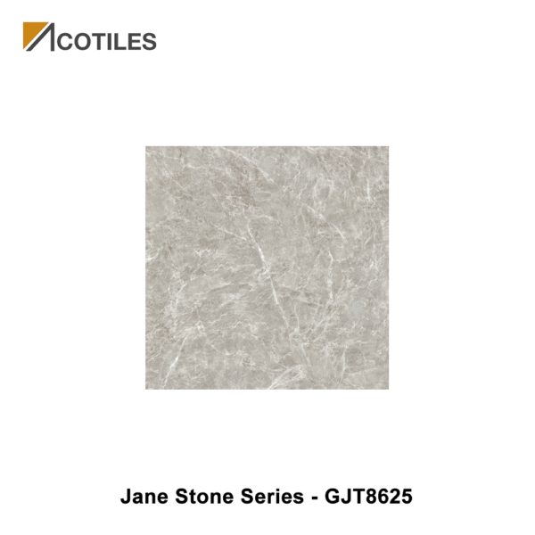 Jane Stone Series Designer Tile GJT8625