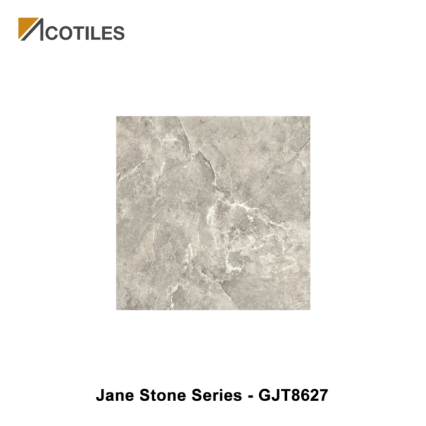 Jane Stone Series Designer Tile GJT8627
