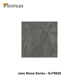 Jane Stone Series Designer Tile GJT8629