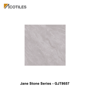 Jane Stone Series Designer Tile GJT8657
