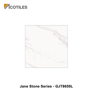 Jane Stone Series Designer Tile GJT8659L