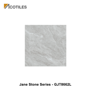 Jane Stone Series Designer Tile GJT8662L