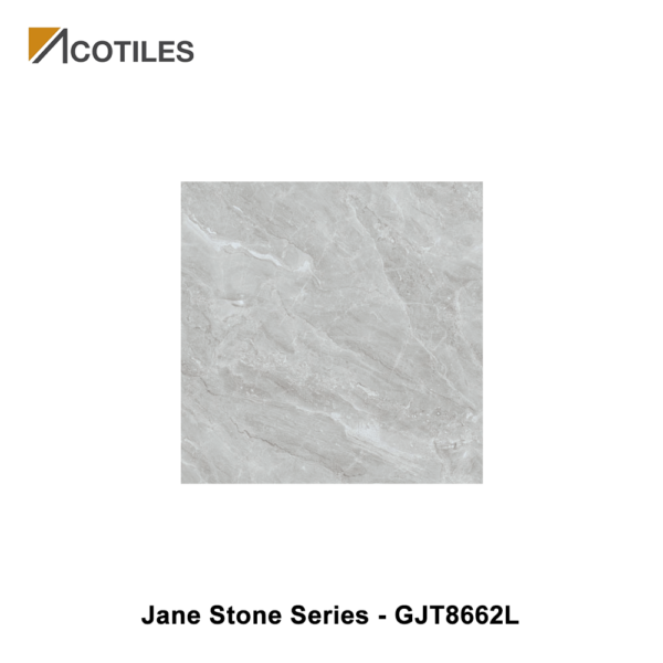 Jane Stone Series Designer Tile GJT8662L