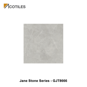 Jane Stone Series Designer Tile GJT8666