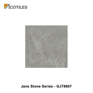 Jane Stone Series Designer Tile GJT8667