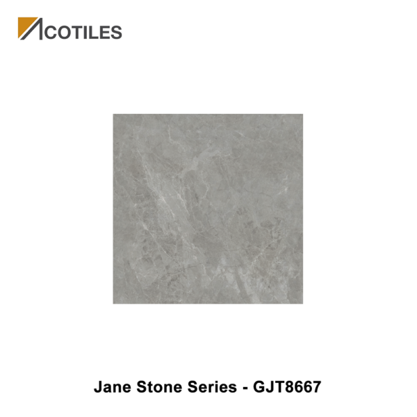 Jane Stone Series Designer Tile GJT8667