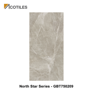 North Star Series Designer Tile GBT750209