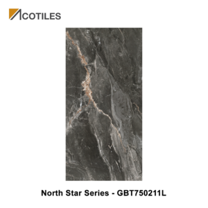 North Star Series Designer Tile GBT750211L