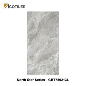 North Star Series Designer Tile GBT750213L