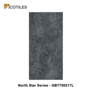 North Star Series Designer Tile GBT750217L