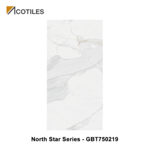 North Star Series Designer Tile GBT750219